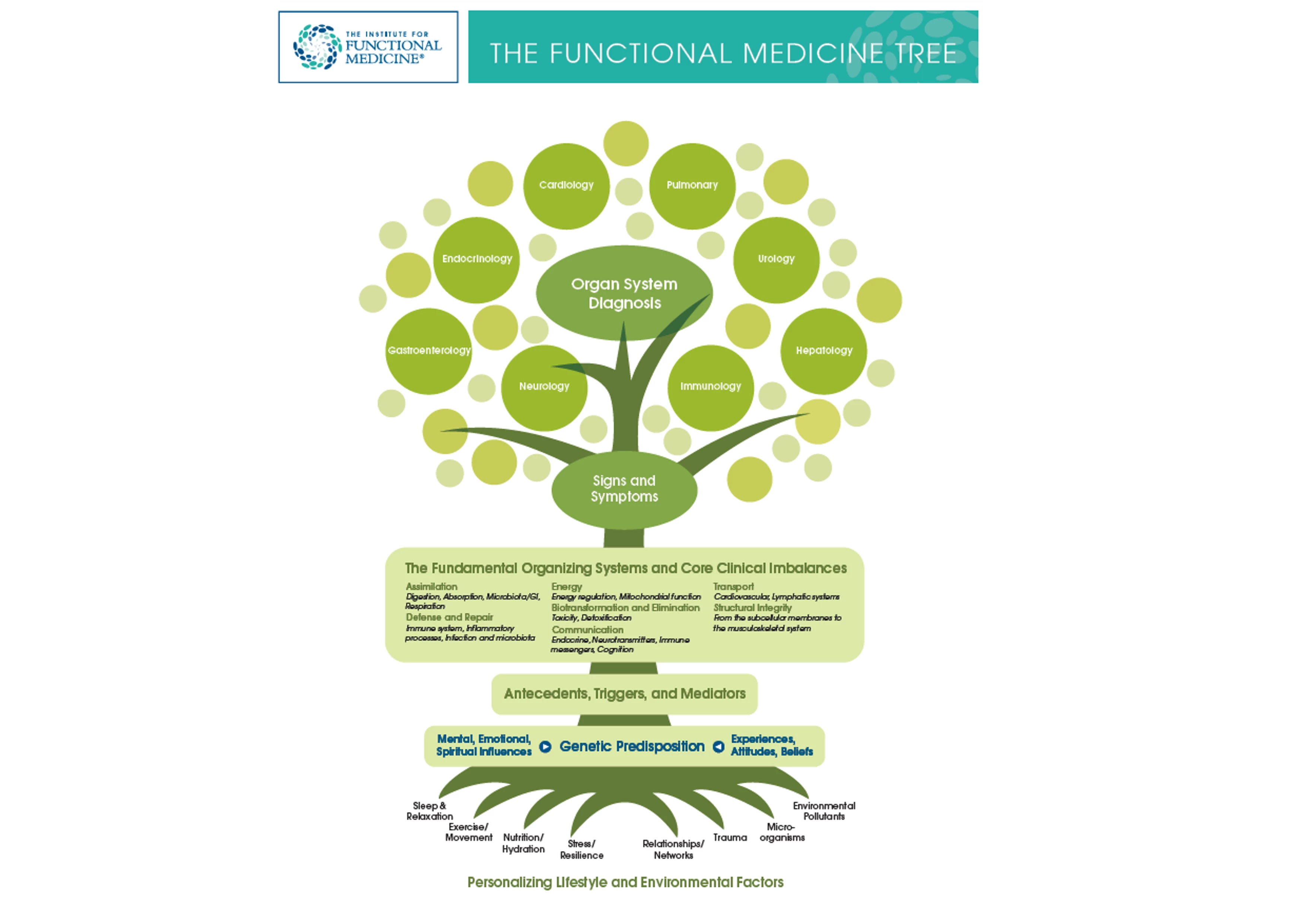 blog/functional-medicine.webp